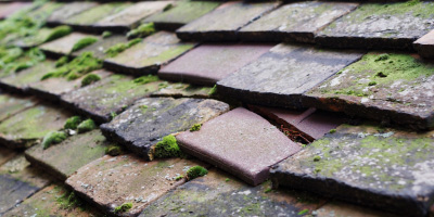 Dorton roof repair costs